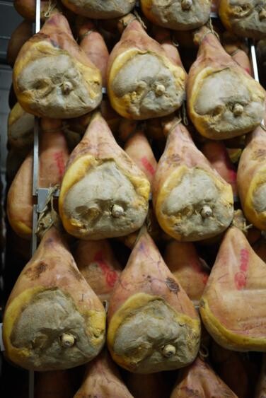 detail of parma hams