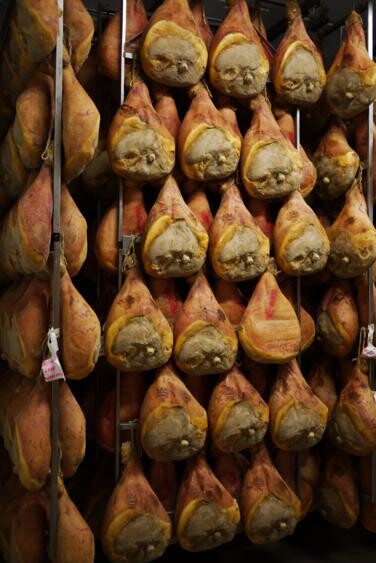 Cured hams hanging in a storage room for aging, showcasing traditional meat preservation techniques.