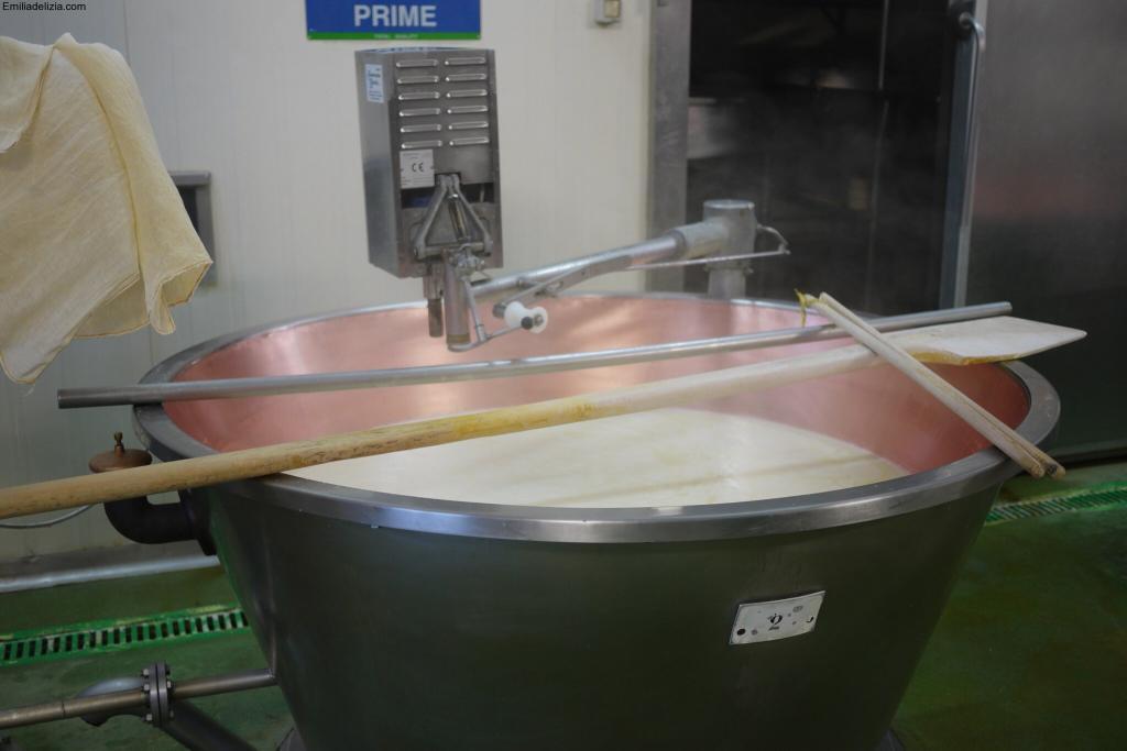Milk for parmesan cheese