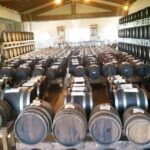 Rows of wooden barrels aging in a winery cellar, showcasing wine production and storage.